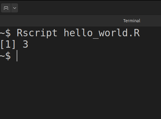 R ohjelman suoritus komentoriviltä.